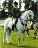 TROUBADOUR WINS SHEARWATER CHAMPIONSHIP AT PONIES UK